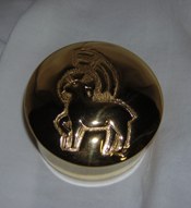 P.RELICARIO MEDIANO NICKEL  (REM)