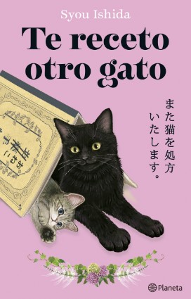 TE RECETO OTRO GATO