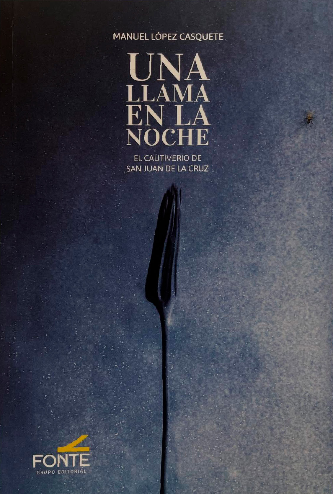 UNA LLAMA EN LA NOCHE