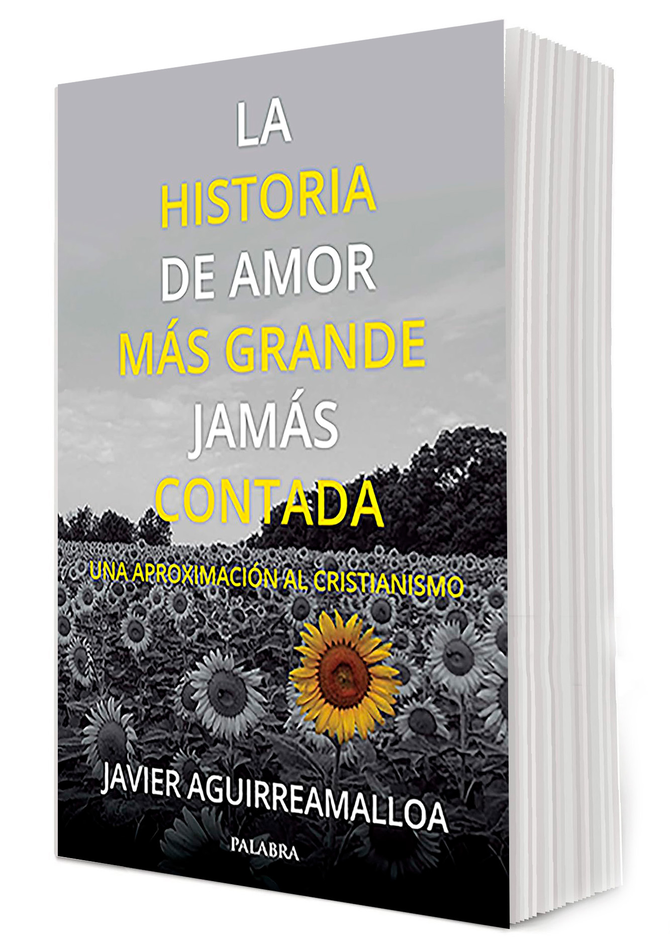 LA HISTORIA DE AMOR MAS GRANDE JAMAS CONTADA. UNA APROXIMACION AL CRISTIANISMO
