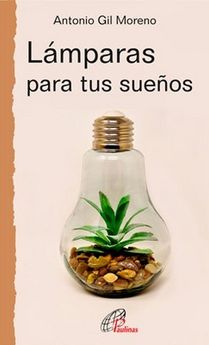 LAMPARAS PARA TUS SUEÑOS458870067