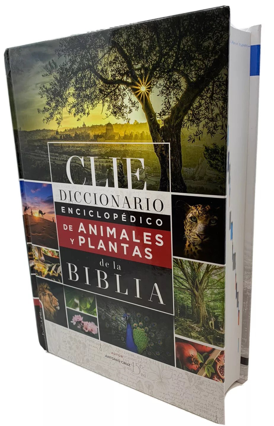 DICCIONARIO ENCICLOPÉDICO DE ANIMALES Y PLANTAS DE LA BIBLIA1494089725
