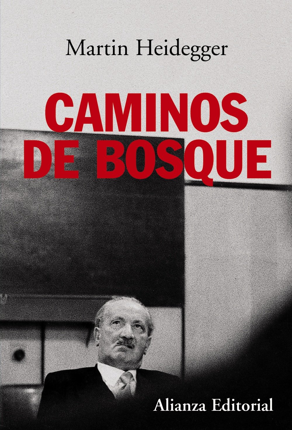 CAMINOS DE BOSQUE245402517