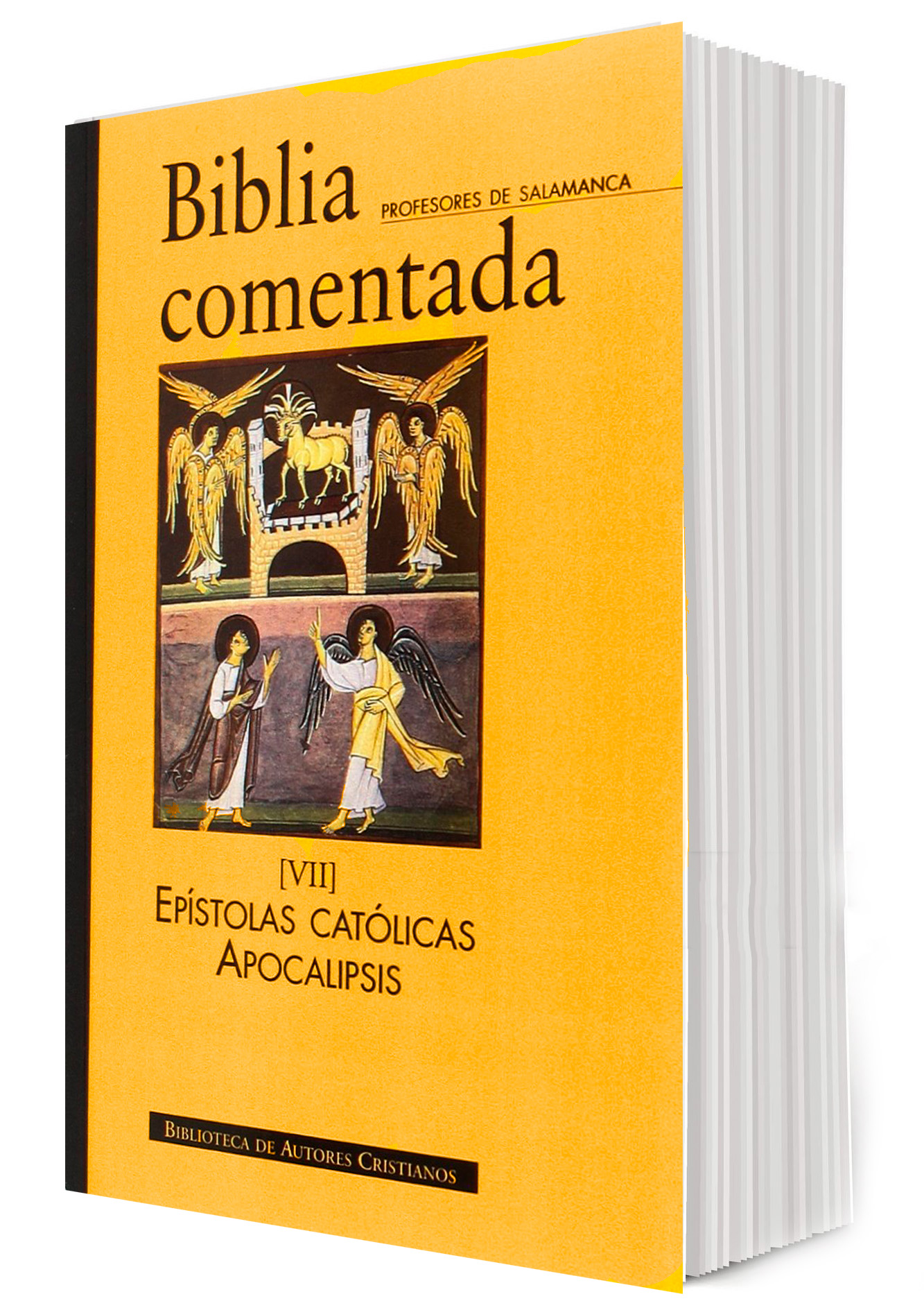 BIBLIA COMENTADA 7. EPISTOLAS CATOLICAS APOCALIPSIS133005842