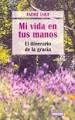 MI VIDA EN TUS MANOS. EL ITINERARIO DE LA GRACIA