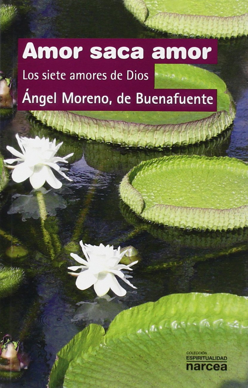 AMOR SACA AMOR. LOS SIETE AMORES DE DIOS861854002
