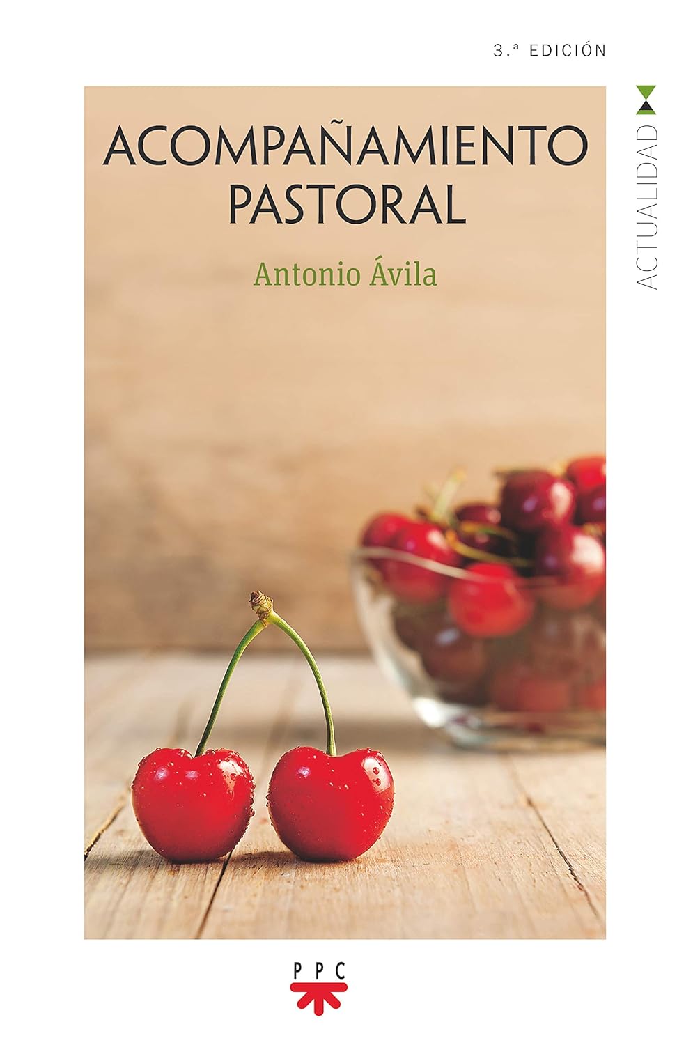 ACOMPAÑAMIENTO PASTORAL133005842