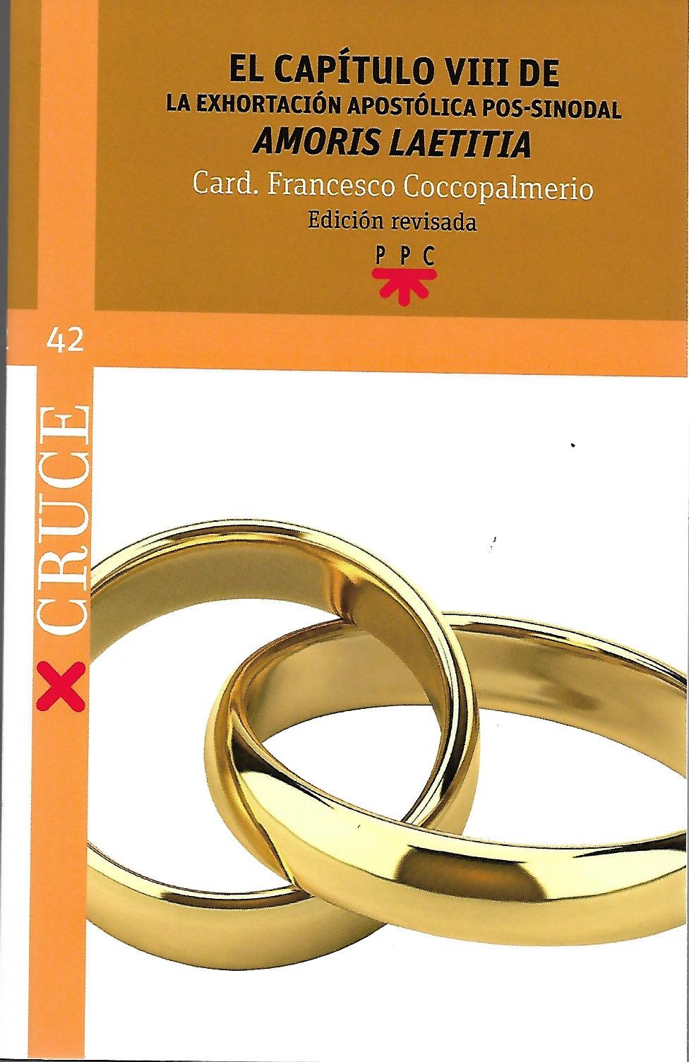 CAPITULO VIII DE LA EXHORTACION APOSTOLICA POS-SINODAL AMORIS LAETITIA525652716