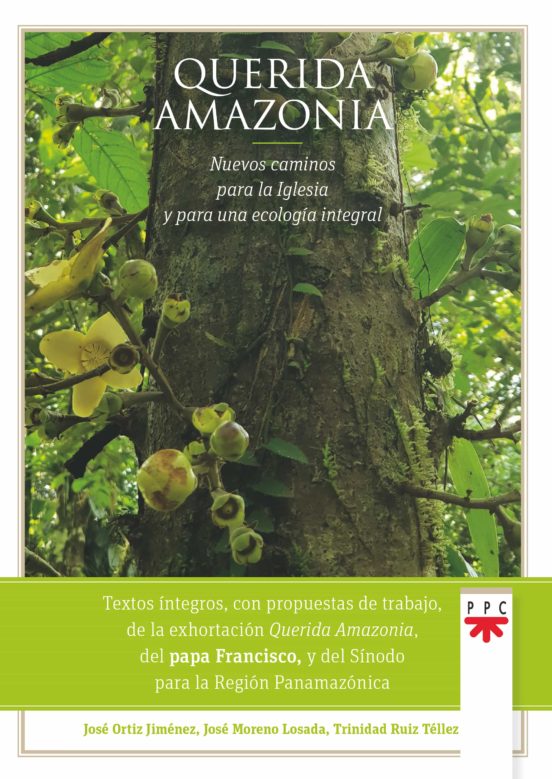 QUERIDA AMAZONIA: NUEVOS CAMINOS PARA LA IGLESIA Y PARA UNA ECOLOGIA INTEGRAL