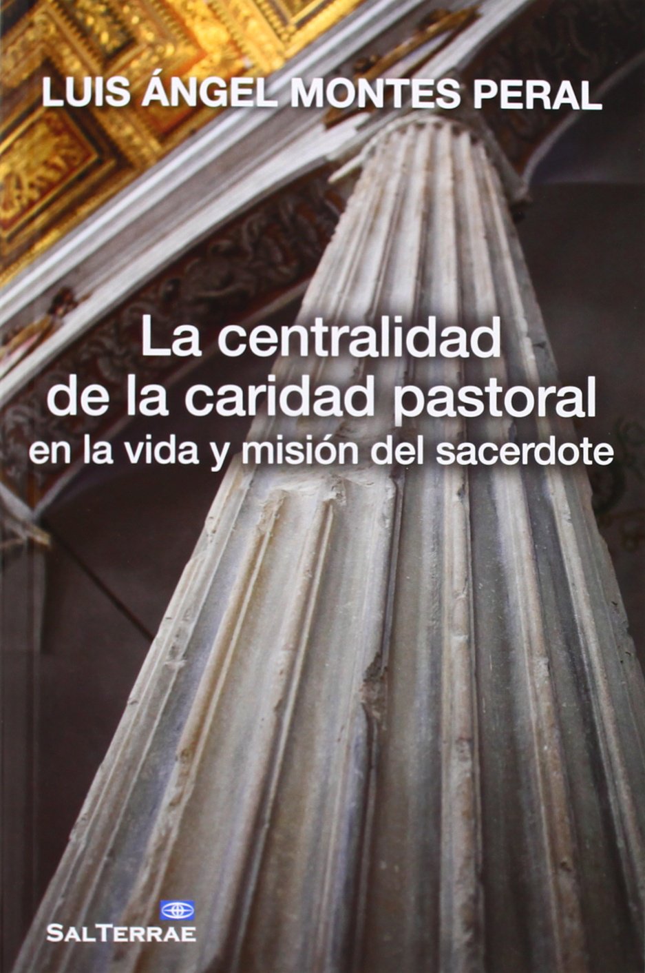 CENTRALIDAD DE LA CARIDAD PASTORAL EN LA VIDA Y MISIÓN DEL SACERDOTE102625660