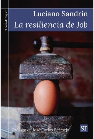 LA RESILIENCIA DE JOB161397551