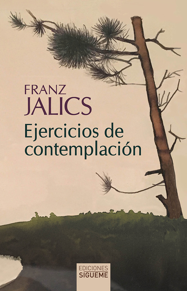 EJERCICIOS DE CONTEMPLACION