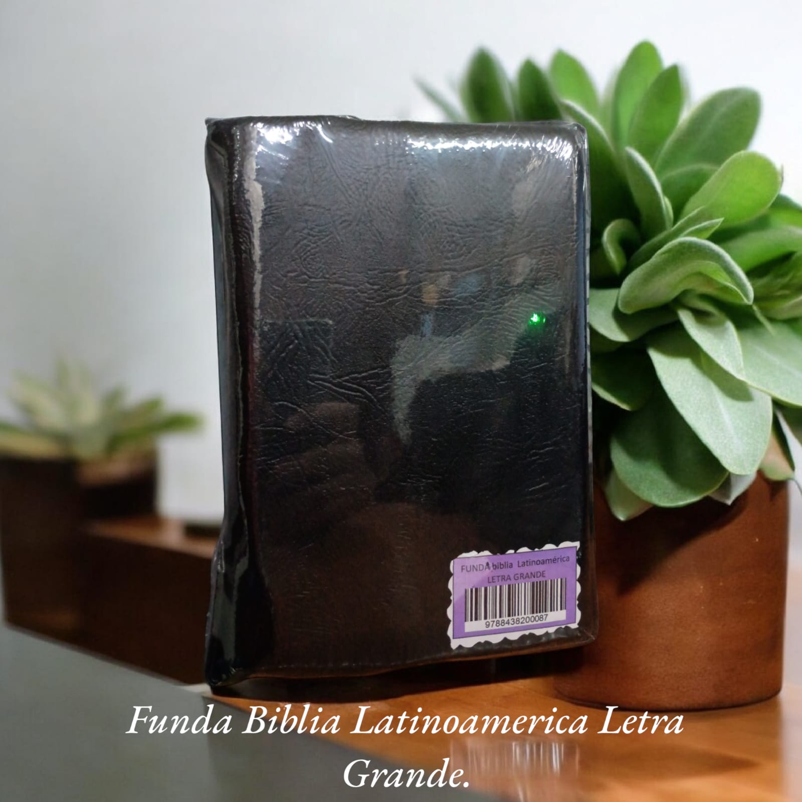 FUNDA: BIBLIA LATINOAM. GRANDE CON INDICE