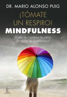 TÓMATE UN RESPIRO: MINDFULNESS. EL ARTE DE MANTENER LA CALMA EN MEDIO DE LA TEMPESTAD