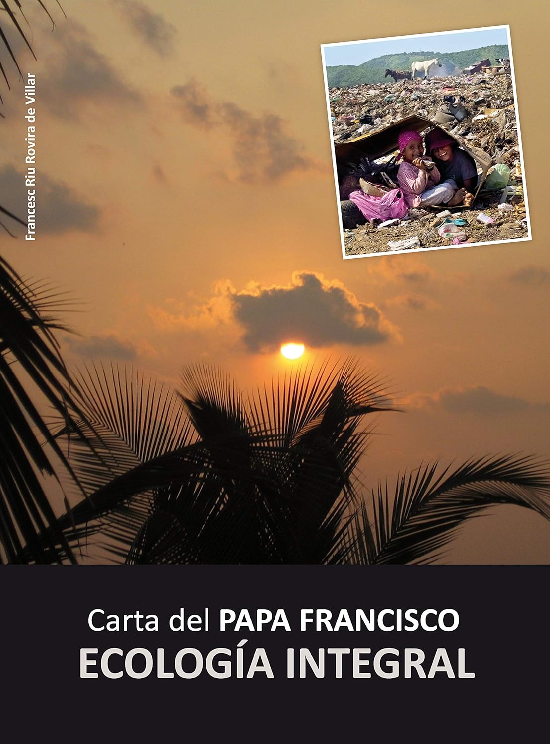 CARTA DEL PAPA FRANCISCO, ECOLOGIA INTEGRAL2120893545