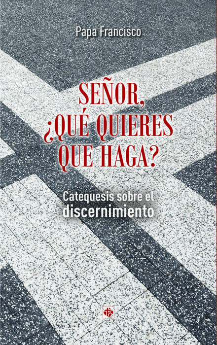 SEÑOR ¿QUE QUIERES QUE HAGA? CATEQUESIS SOBRE EL DISCERNIMIENTO