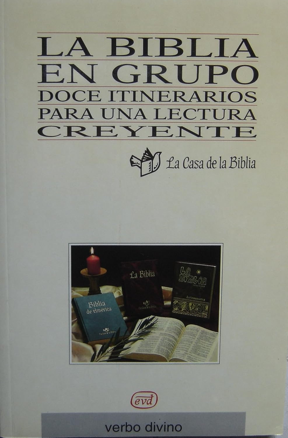 BIBLIA EN GRUPO. DOCE ITINERARIOS PARA UNA LECTURA CREYENTE512769442