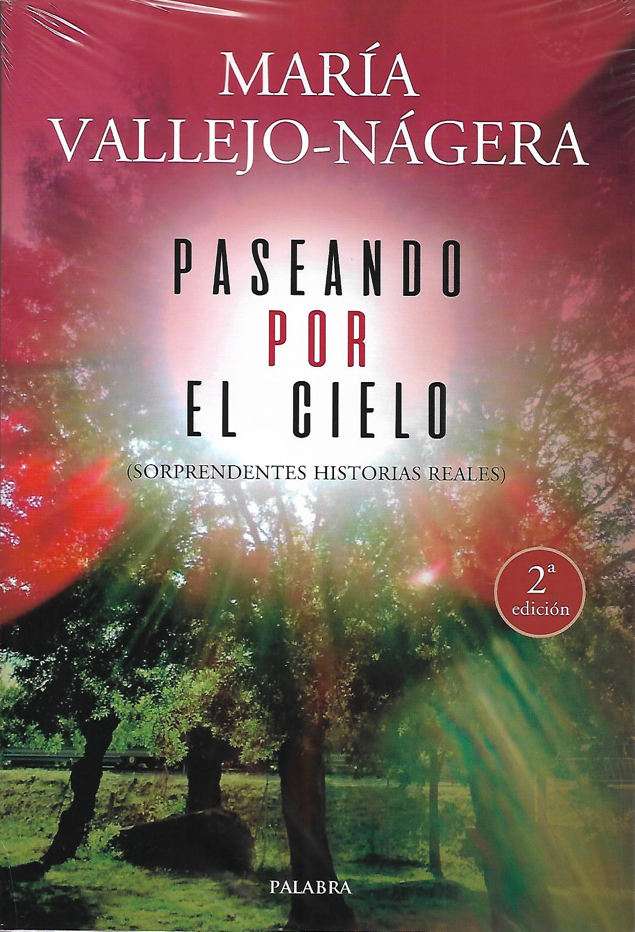 PASEANDO POR EL CIELO. SORPRENDENTES HISTORIAS REALES1582849471