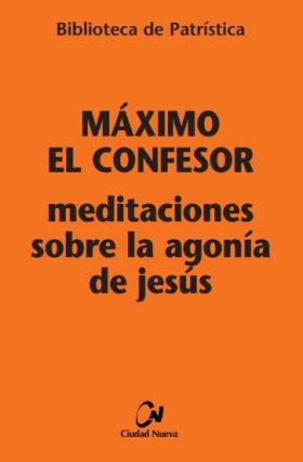 MEDITACIONES SOBRE LA AGONIA DE JESUS