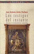 TESTIGOS DEL INSTANTE. ENSAYOS DE HERMENEUTICA COMPARAD133005842