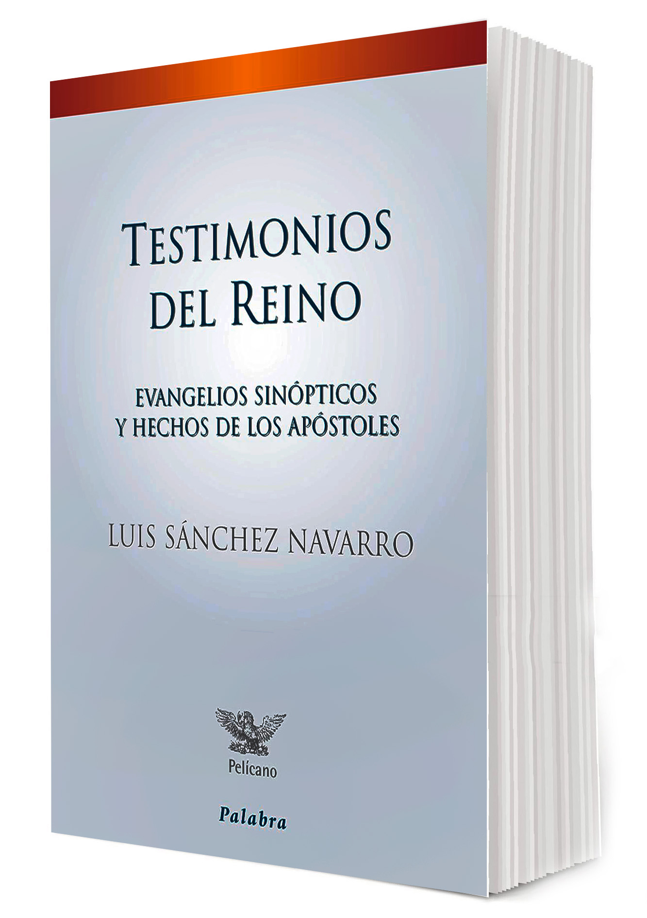 TESTIMONIOS DEL REINO. EVANGELIOS SINOPTICOS Y HECHOS DE LOS APOSTOLES161397551