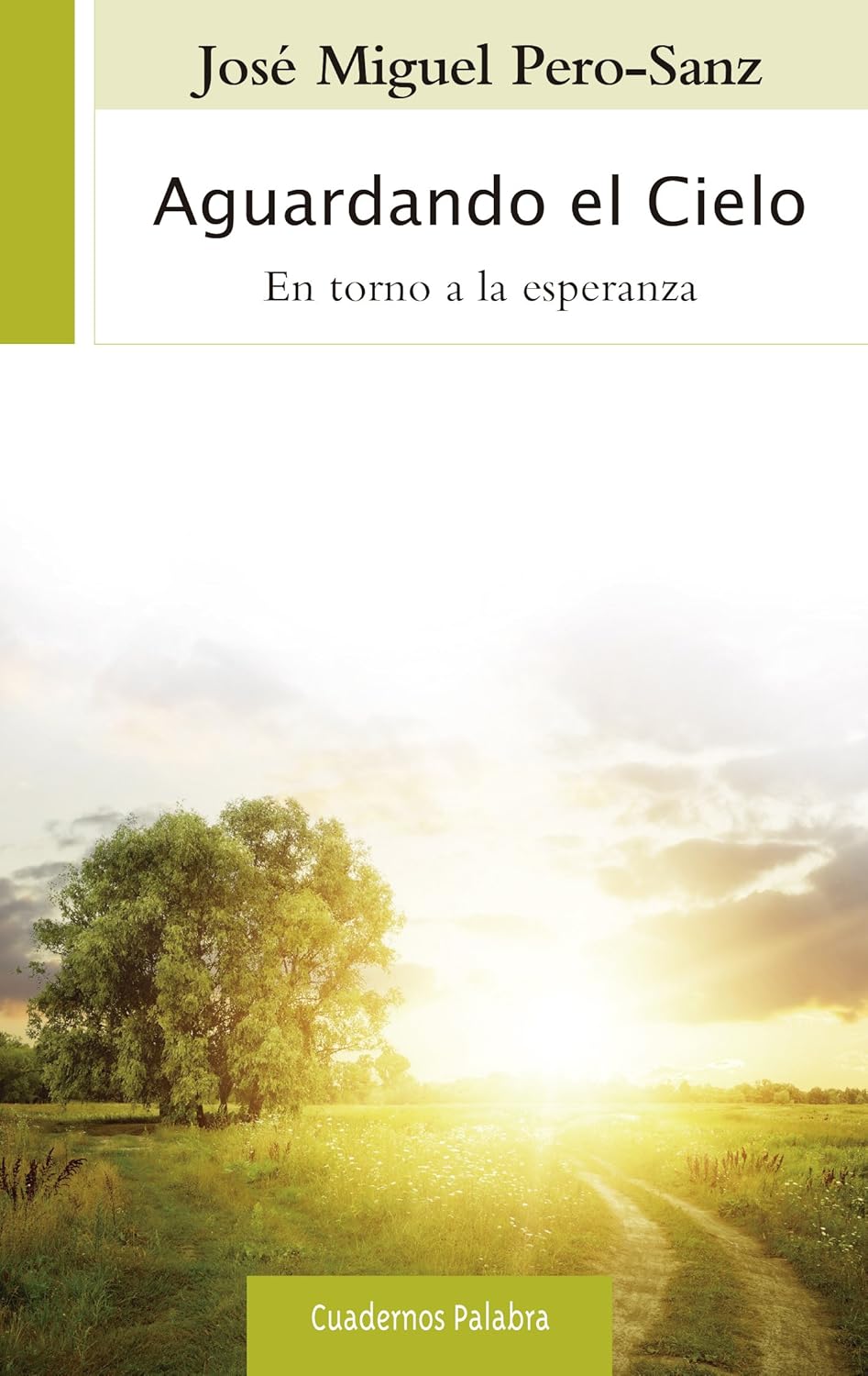 AGUARDANDO EL CIELO. EN TORNO A LA ESPERANZA1023501909