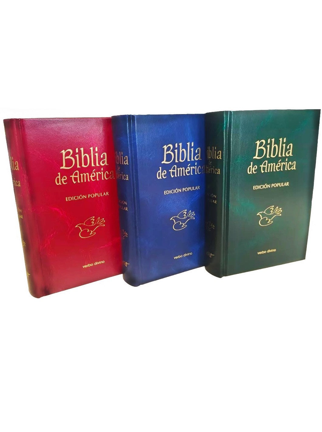 B. BIBLIA DE AMERICA. POPULAR EMPASTADA (BOLSILLO)360836931