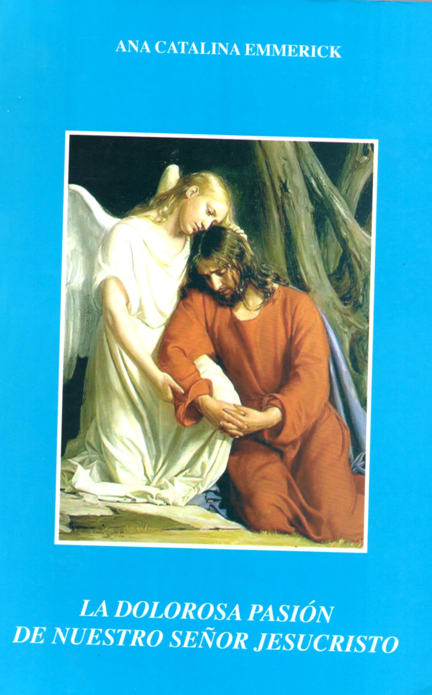 LA DOLOROSA PASION DE NUESTRO SEÑOR JESUCRISTO