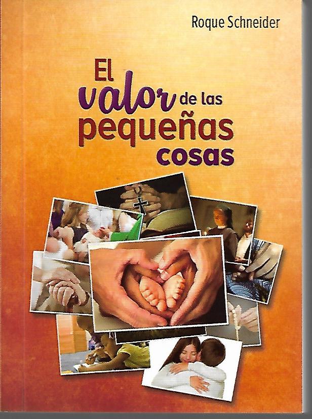 VALOR DE LAS PEQUEÑAS COSAS (BOLSILLO)