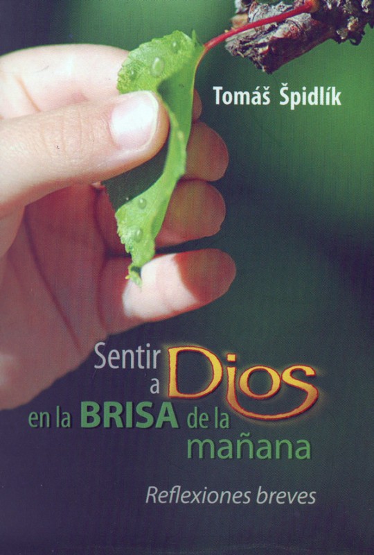 SENTIR A DIOS EN LA BRISA DE LA MAÑANA. REFLEXIONES BREVES1582849471