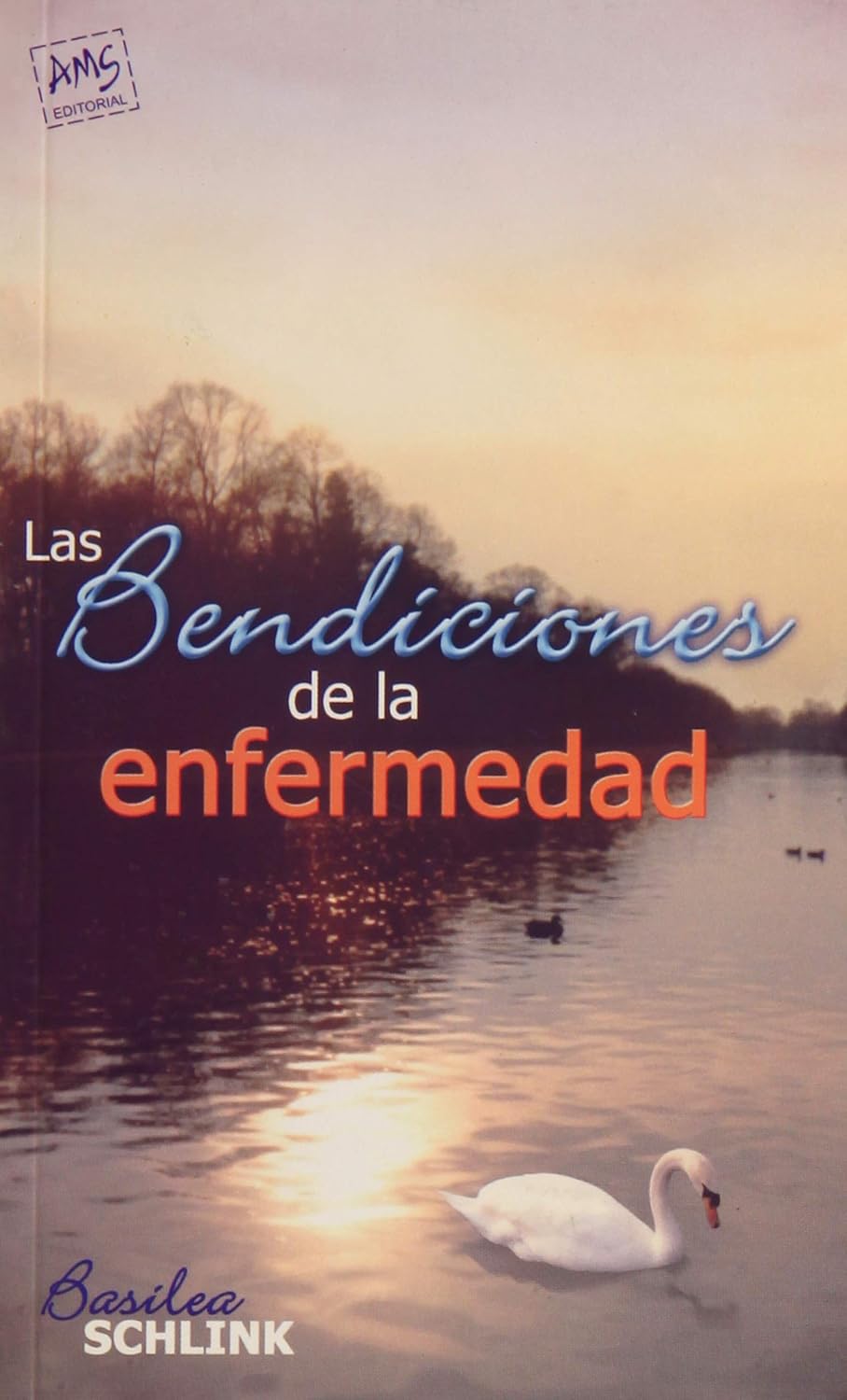 BENDICIONES DE LA ENFERMEDAD2087606369