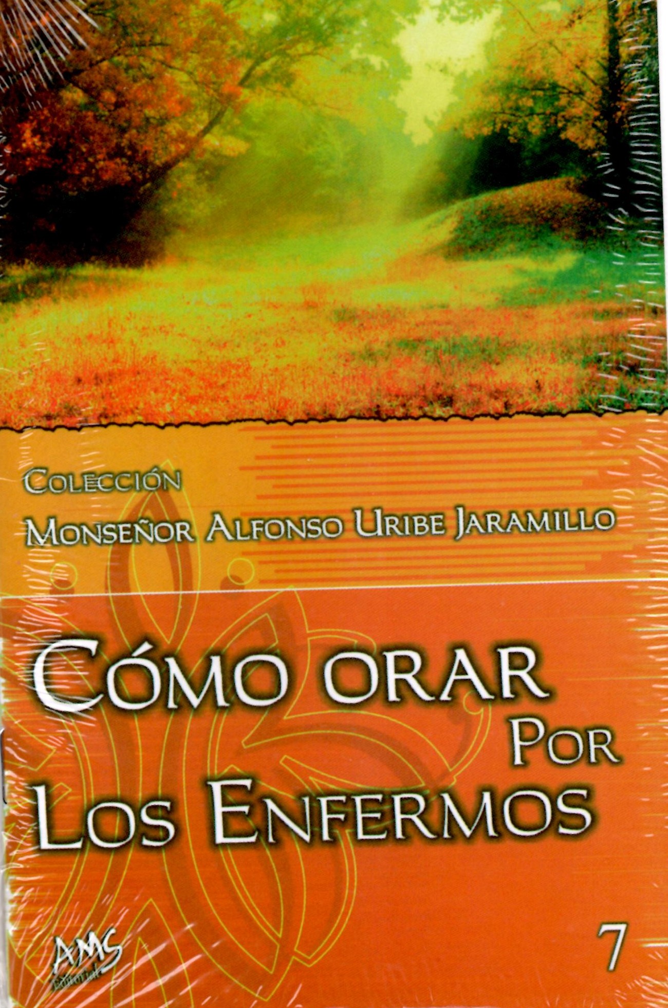 COMO ORAR POR LOS ENFERMOS41119184