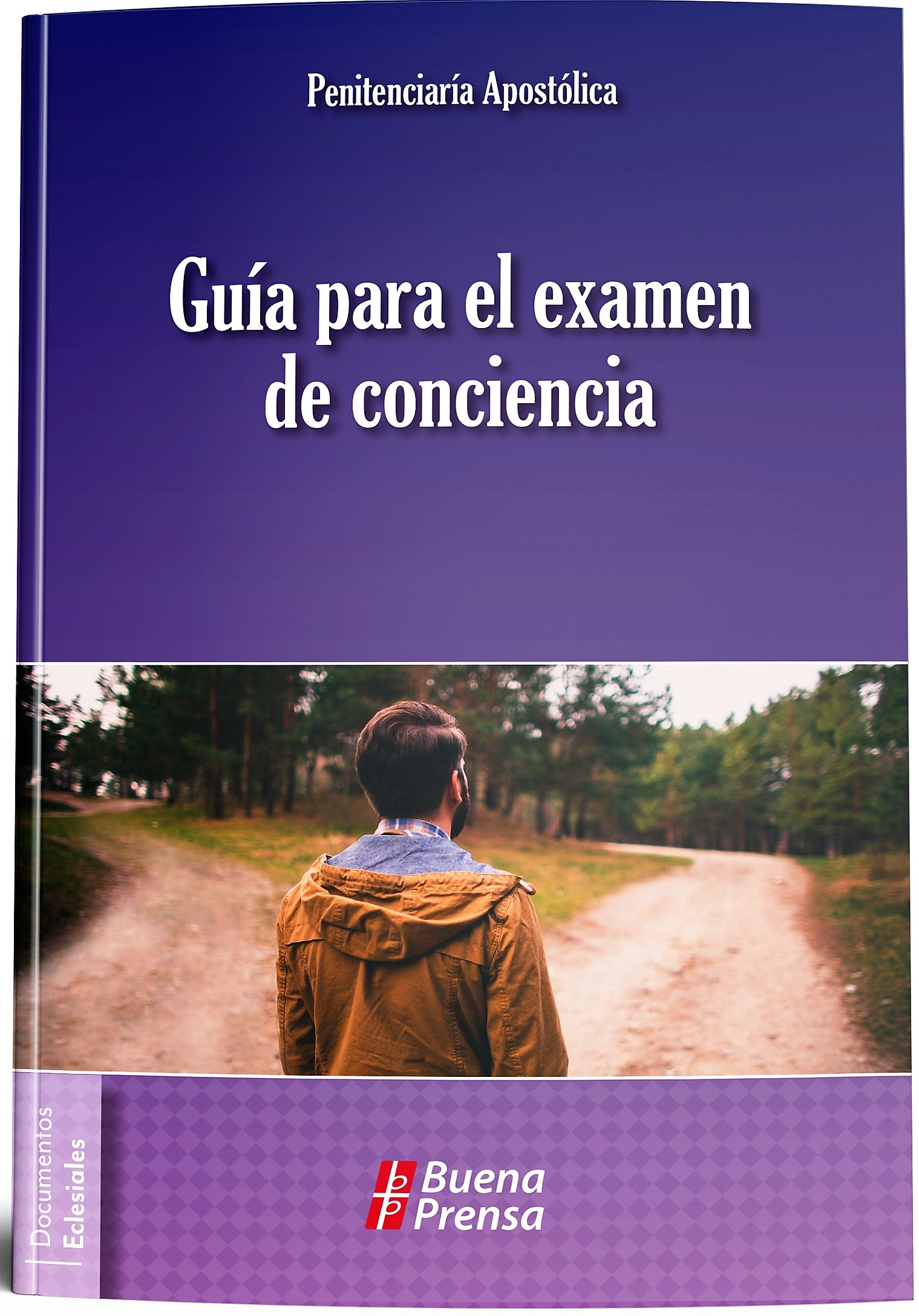 GUIA PARA EL EXAMEN DE CONCIENCIA
