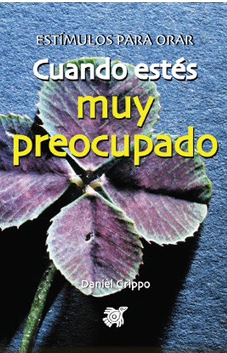 CUANDO ESTES MUY PREOCUPADO (BOLSILLO)