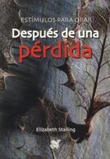 DESPUES DE UNA PERDIDA (BOLSILLO)1081127851