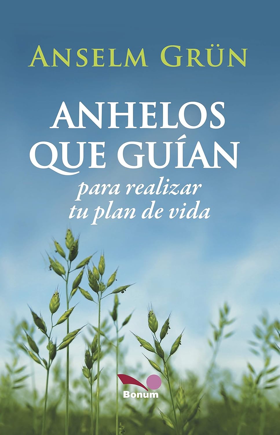 ANHELOS QUE GUIAN. PARA REALIZAR TU PLAN DE VIDA1582849471